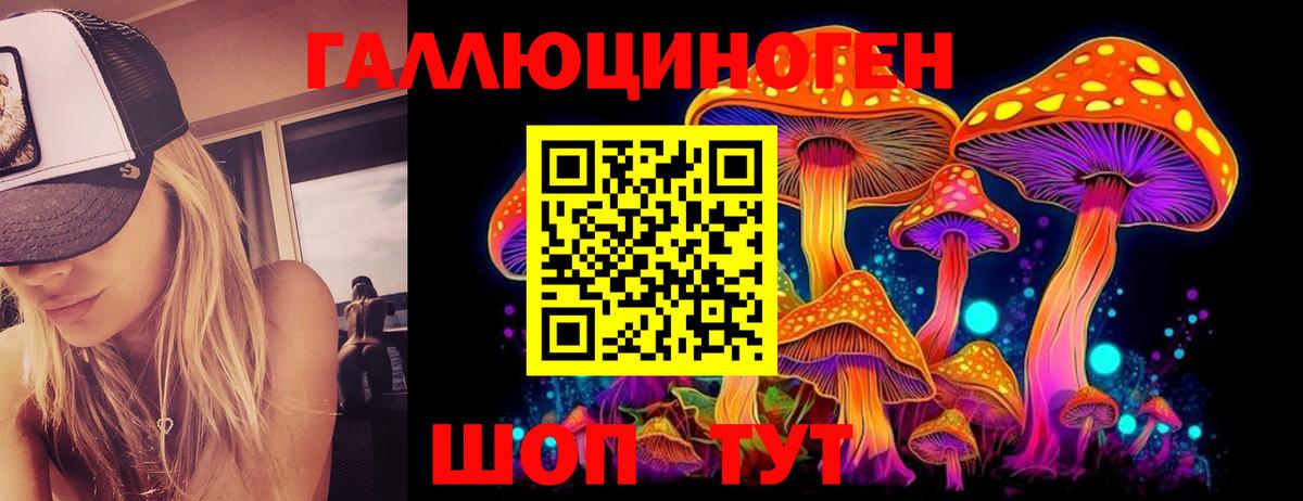 Псилоцибиновые грибы Psilocybe  Вход с VPN  Галлюциногенные грибы MAGIC MUSHROOMS  Моздок 