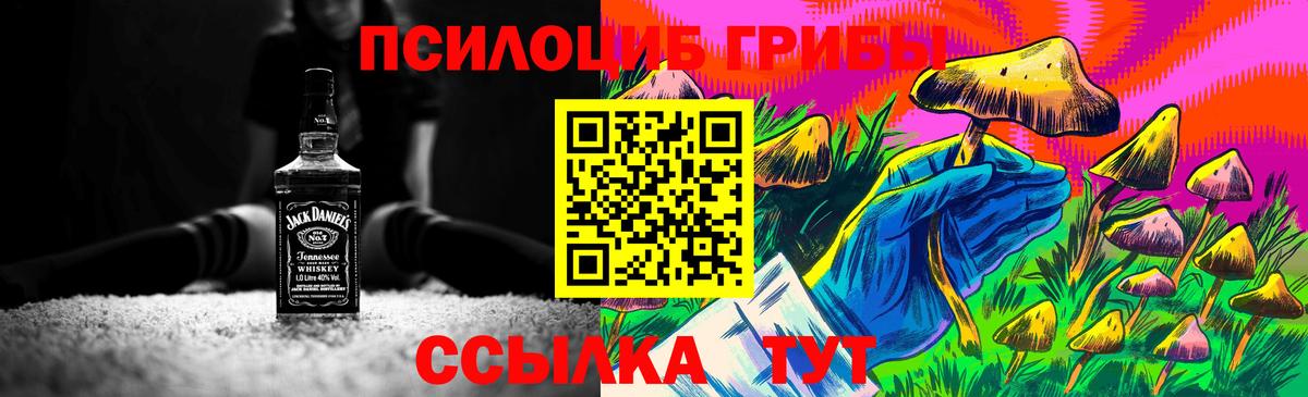 Галлюциногенные грибы Magic Shrooms Моздок