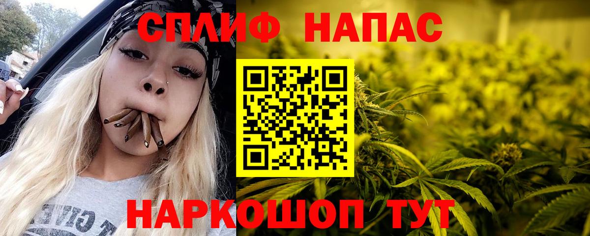 Конопля сатива Моздок